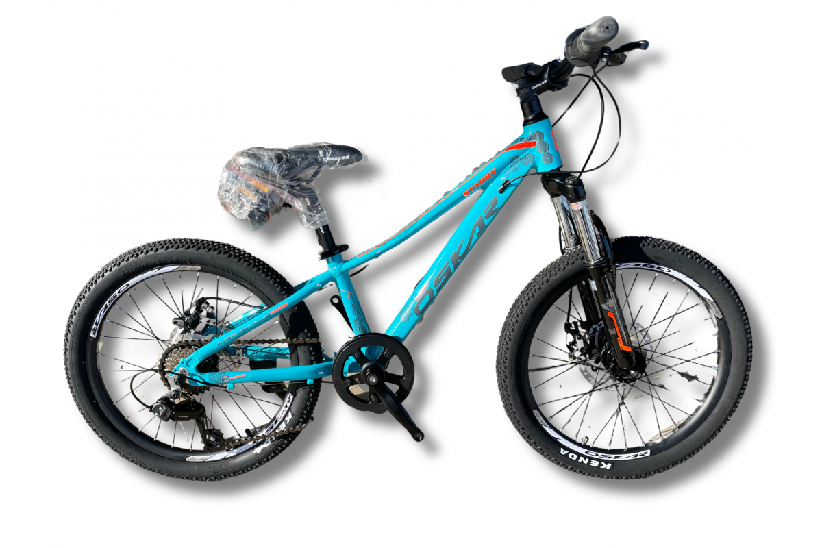 Фото Велосипед Oskar 20" Starry голубой 2024 с официального сайта OSKAR™
